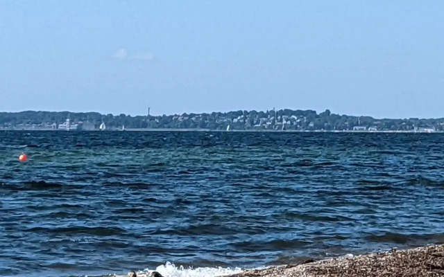 Taubennest
