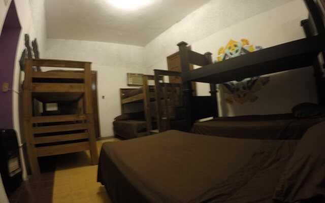 Amatle Cafe Organico & Hostel