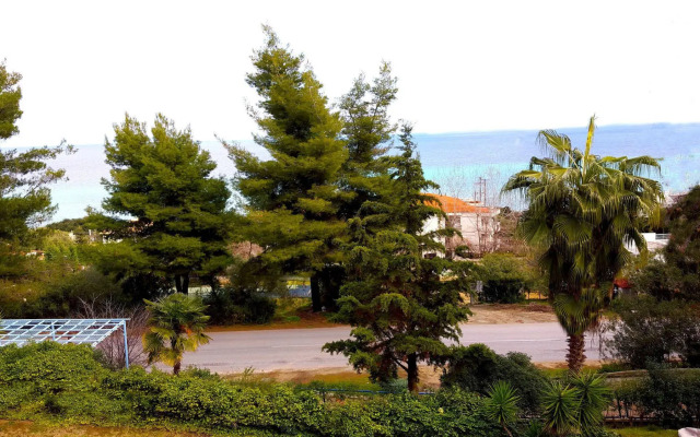 Roditsa Patritsia Apartments