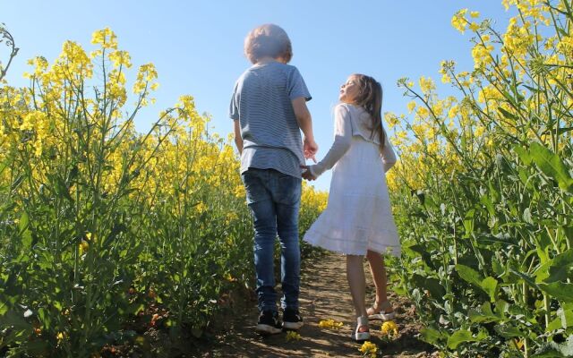 Idyllic Apartment in Rerik With Garden