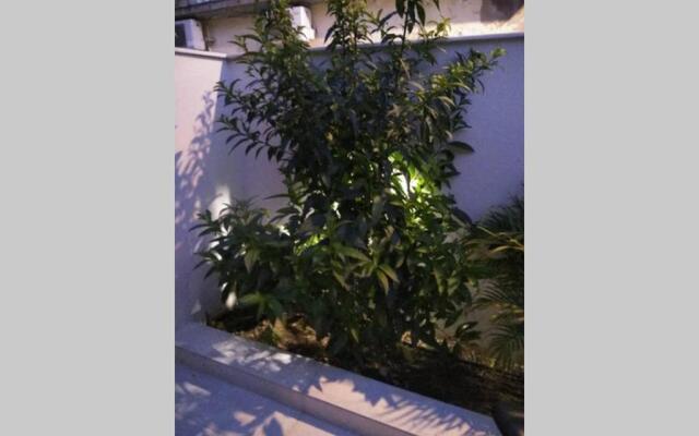 Arxontia 1