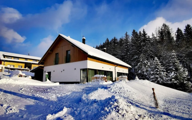 Villa in Austria Near Ski Slopes