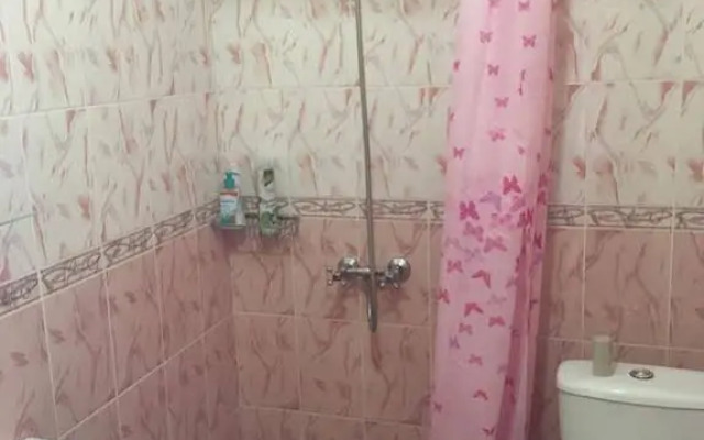 Viktoriya Guest House