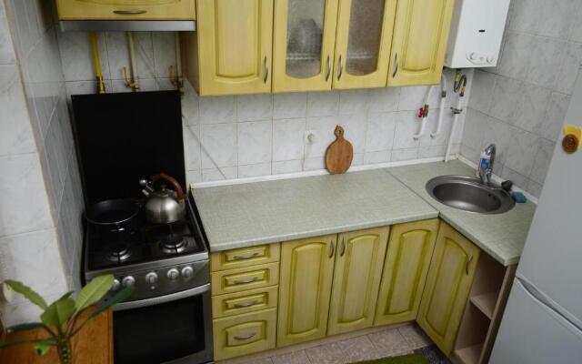 Apartment on Petropavlivs'ka 90