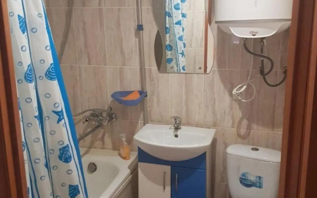 2комн апартаменты на ул.софиевской