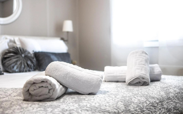 Luxury & Cozy Apartment