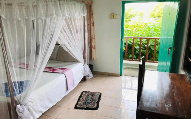 Surf Paradise & Cabana