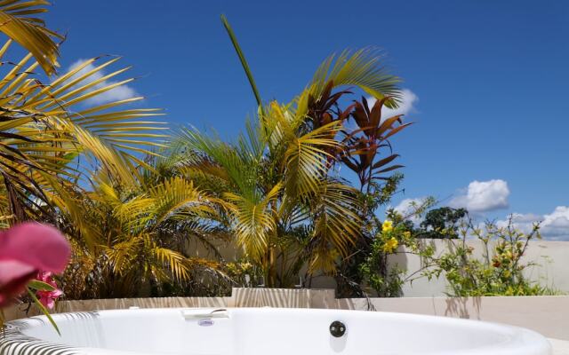 Chalet 2 BRM Penthouse private roof sleeps 4