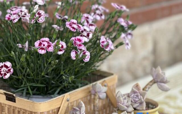 Yihuaxuanting Homestay (Kunming Dianchi Haitang Dam)