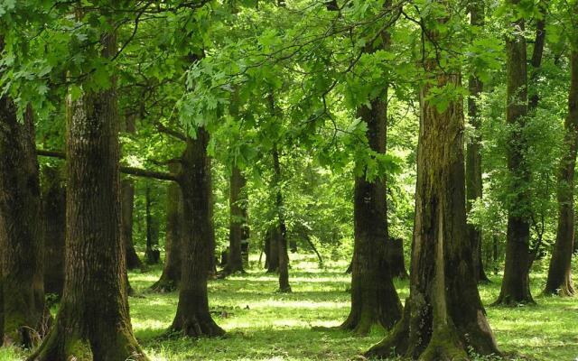 Rural Tourism Family Ravlic