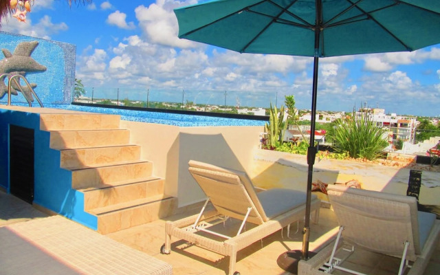 The City Condos by Playa Paradise