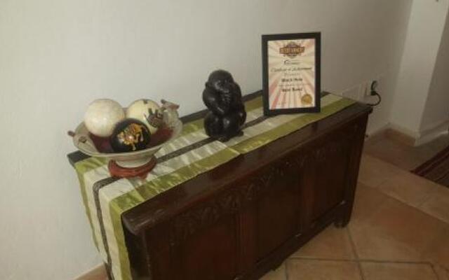 Ziggy's Mountain Retreat