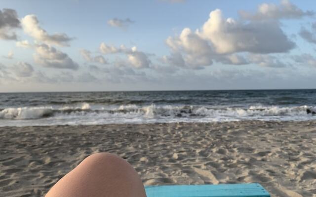 Palmazul - Viña del Mar