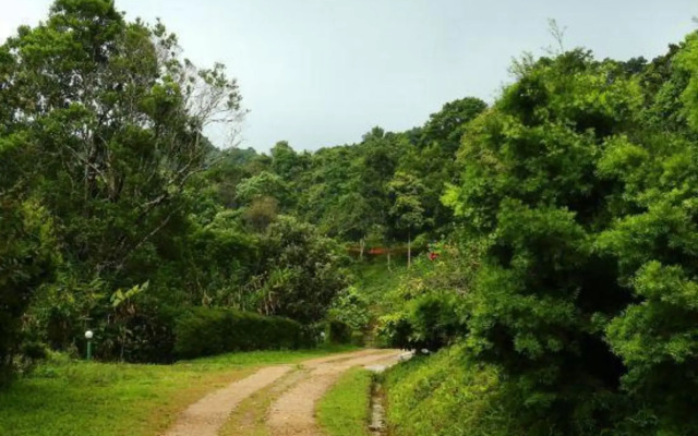 Rain Country Resort