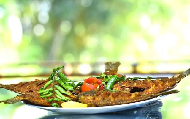 Best Kerala Houseboat