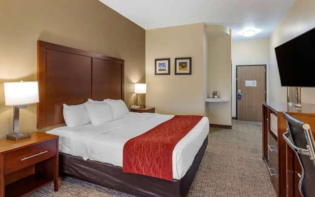 Comfort Inn & Suites Greenville Il