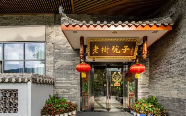 Anjing Old Tree Courtyard (Emeishan Scenic Area)