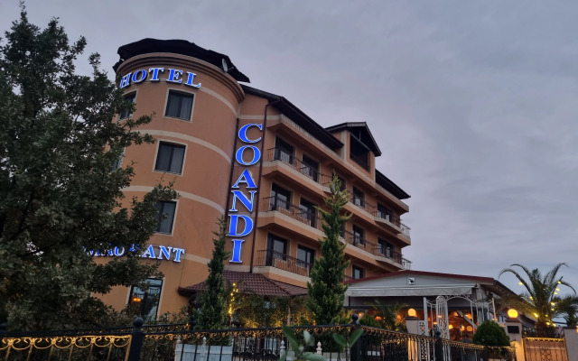 Hotel Coandi