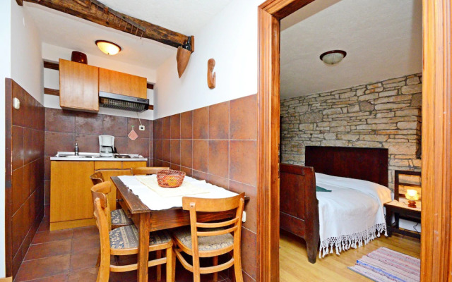Apartment Srblin