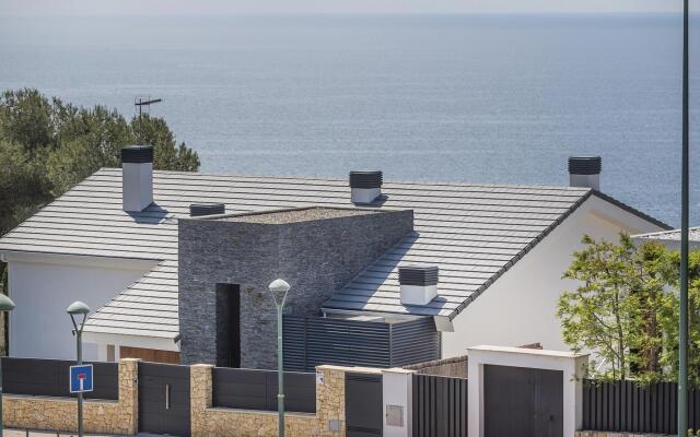 TH85-Limonium-9 in Tarragona