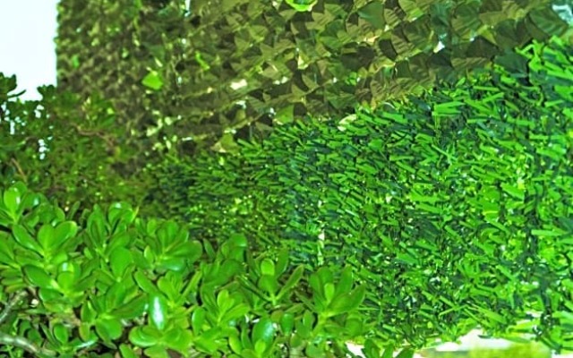 Salenterra B&B (Salento)