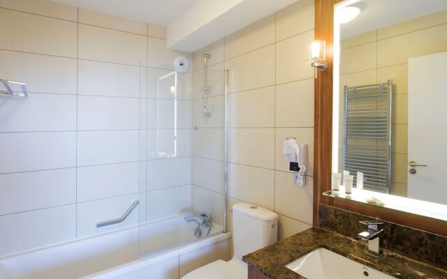 Luxury apartment with Wi-Fi in large ski area Paradiski