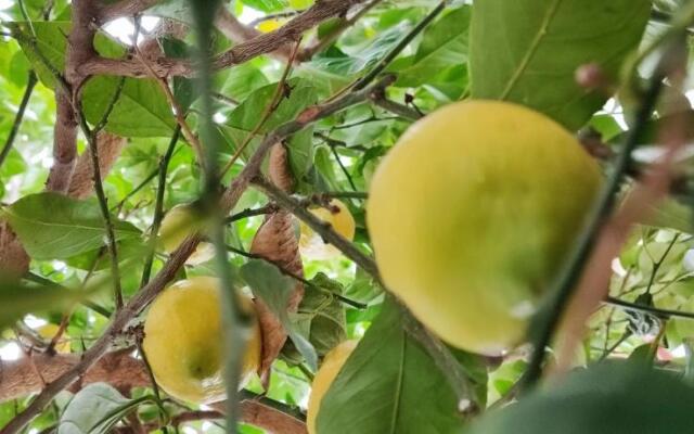 Authentic House Stratoni Chalkidiki Greece 6P Seaview