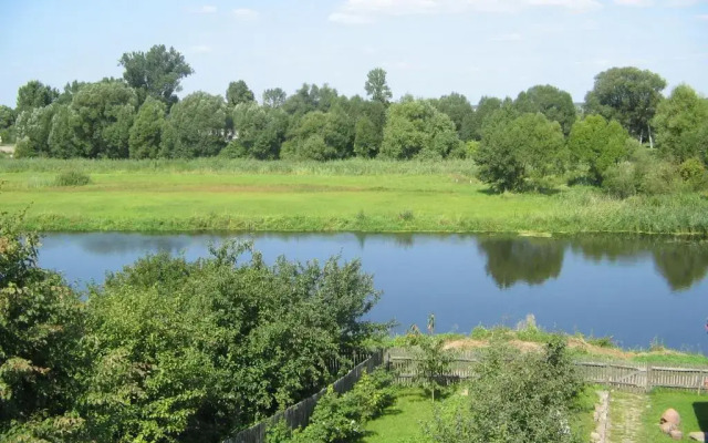 Dom pod czarnym bocianem