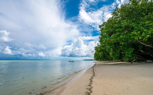 Green Wood Beach Resort