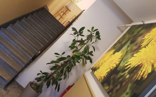 Easy-Living Apartments Lindenstrasse 21