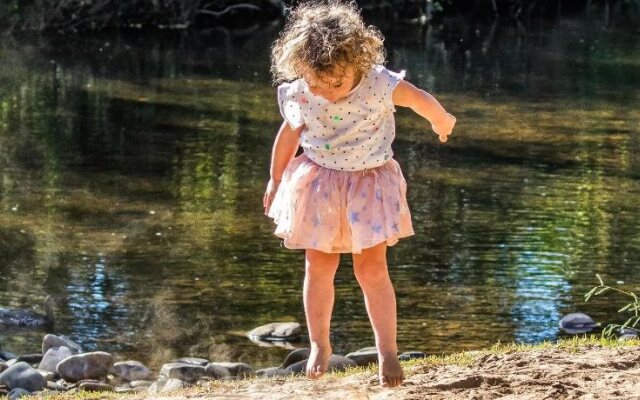 Discovery Parks - Mount Buffalo