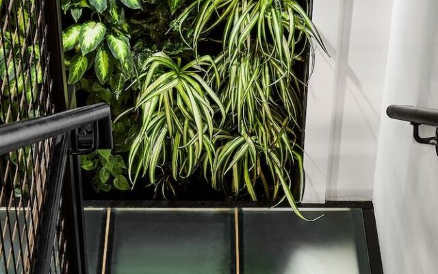 Lokal Hotel Fishtown