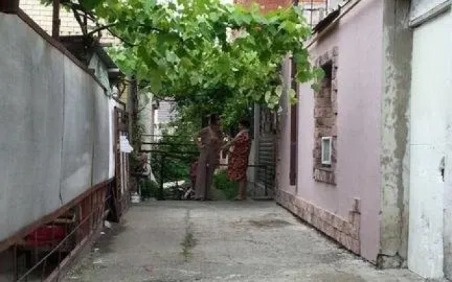 Vinogradnaya Loza Guest House