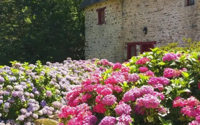 Chateau de Bellefond