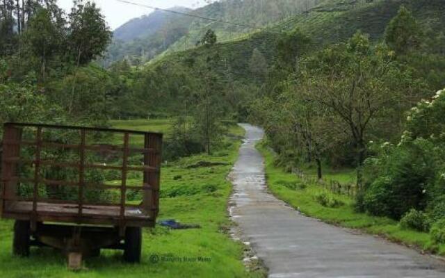 Vagamon Paradise