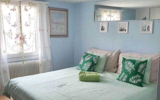 Studio in Morschach, With Wonderful Mountain View and Wifi