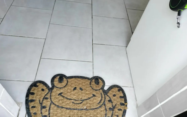 One Bedroom Apartment Achill Island Pets Allowed