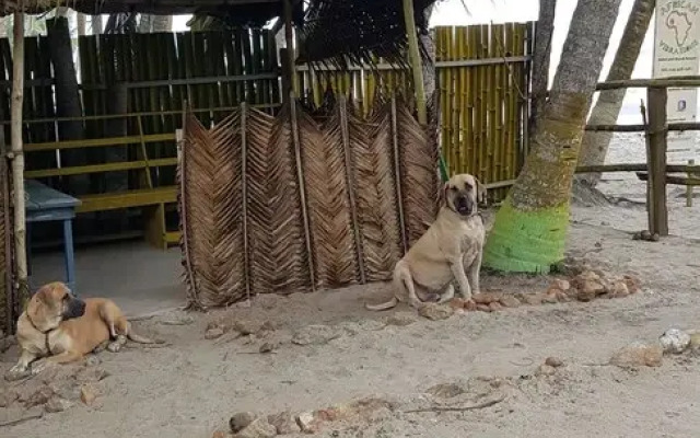 African Vibrations Beach Resort