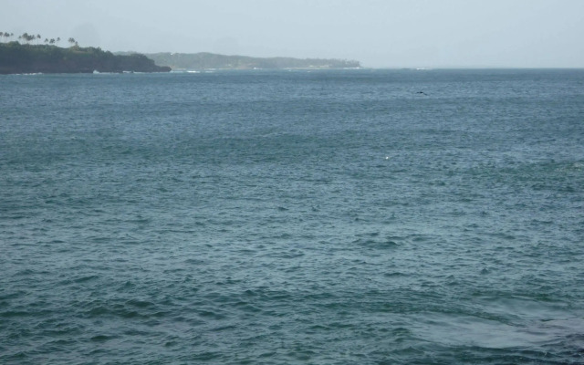 Blow Hole View Home Stay