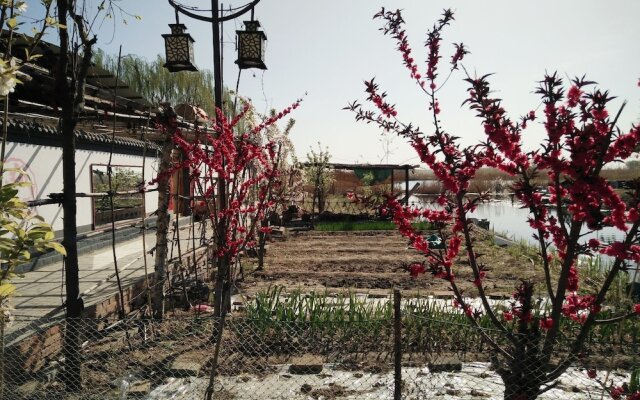 Baiyangdian Xinzhi Guesthouse