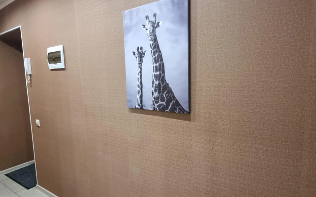 AmegaRoom (АмегаРум) на улице Холодильная 132