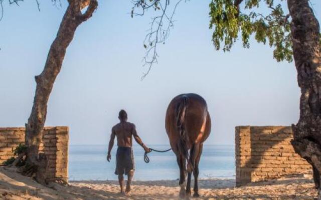 Kande Horse And Guest Farm House