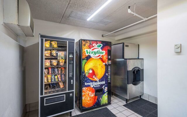 Red Roof Inn Tampa Busch