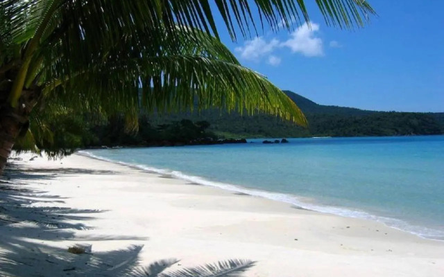 Zuchi's Home&Apartment