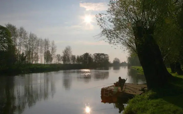 Pakalnė