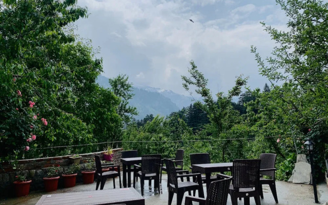 Jungle by sturmfrei Manali
