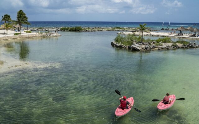 Homing Bird Apartments