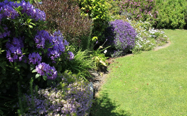 Nikau Lodge