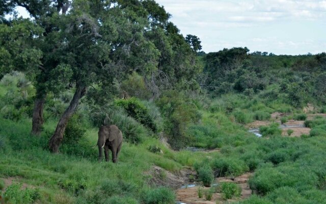 Tingala Lodge