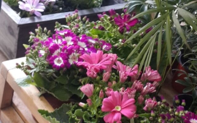 Dana Haru Guesthouse